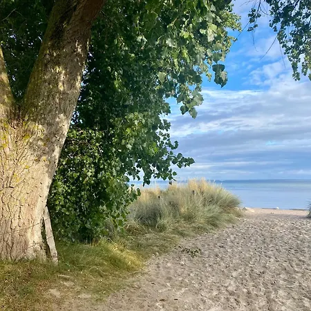 Ferienhaus Südstrand Haus 11 *